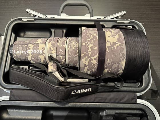 FS: Canon 600mm f/4L IS II USM + Optional [Gitzo Tripod + Wimberley Gimbal]