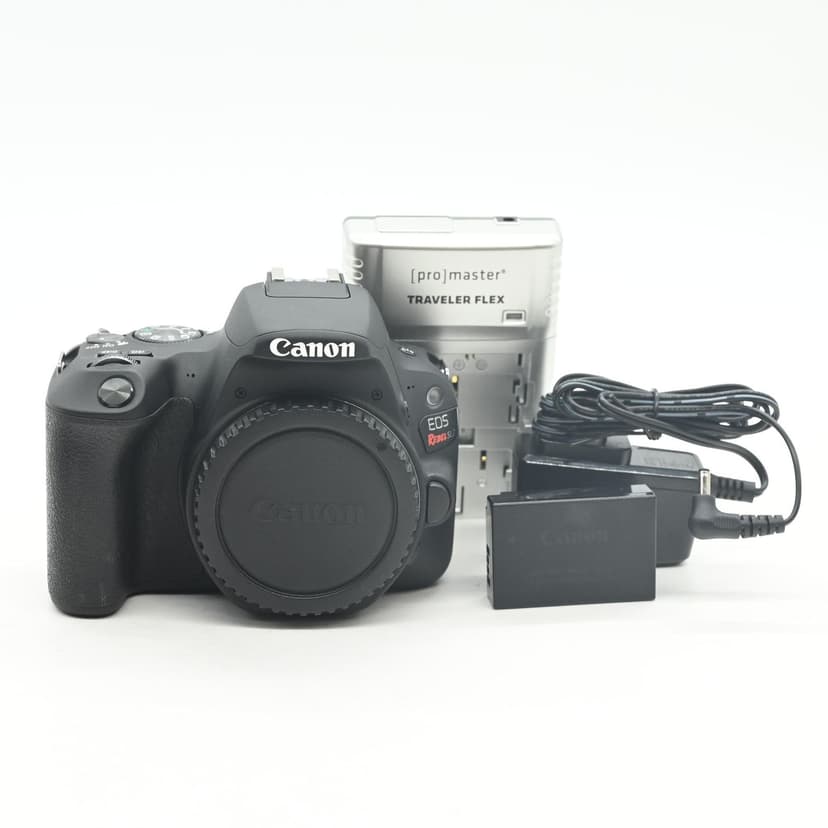 Canon EOS Rebel SL2 24.2MP Digital SLR Camera Body