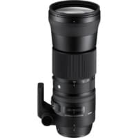 Used Sigma 150-600mm F5-6.3 DG OS HSM "Contemporary" Lens for Canon EOS Digital Cameras